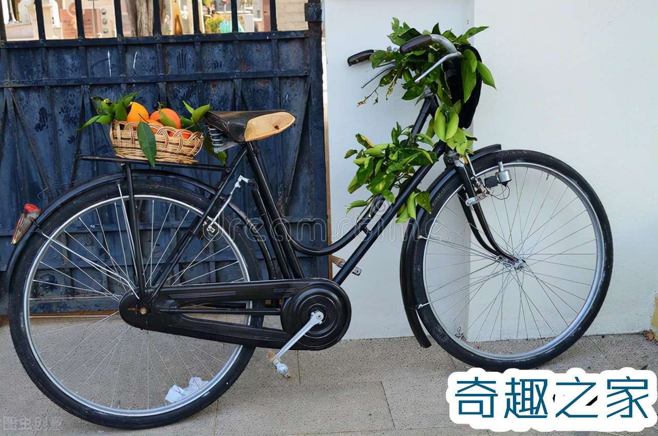 崔克蝴蝶自行车正常售价多少钱（售价高达3200万元）(3)